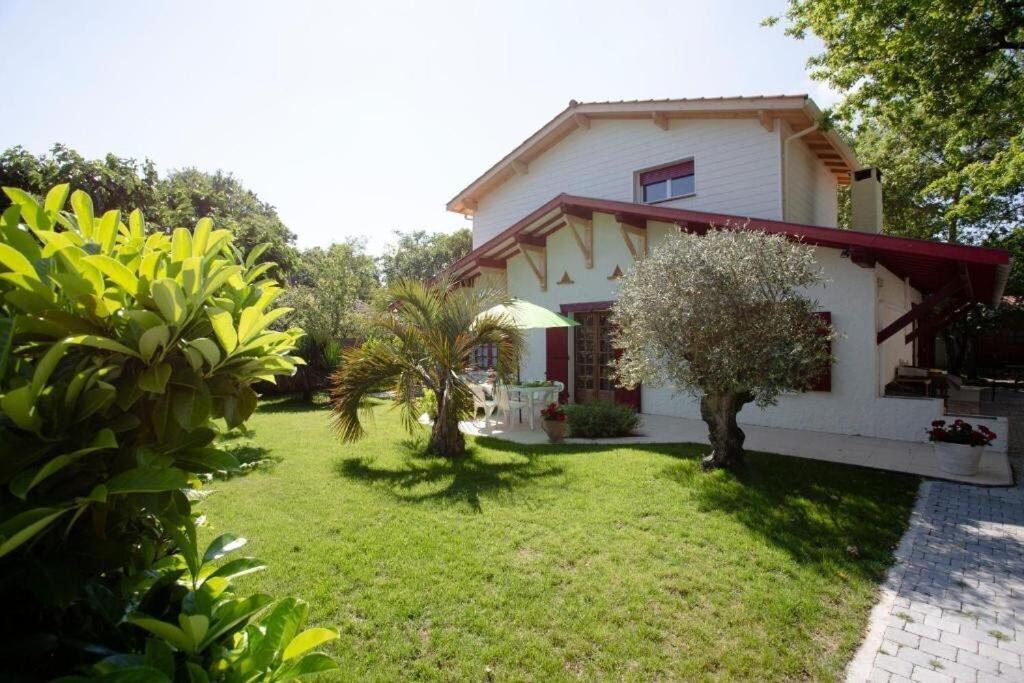 Villa Robert Shumann, A 700 M De La Plage Andernos-les-Bains Ngoại thất bức ảnh